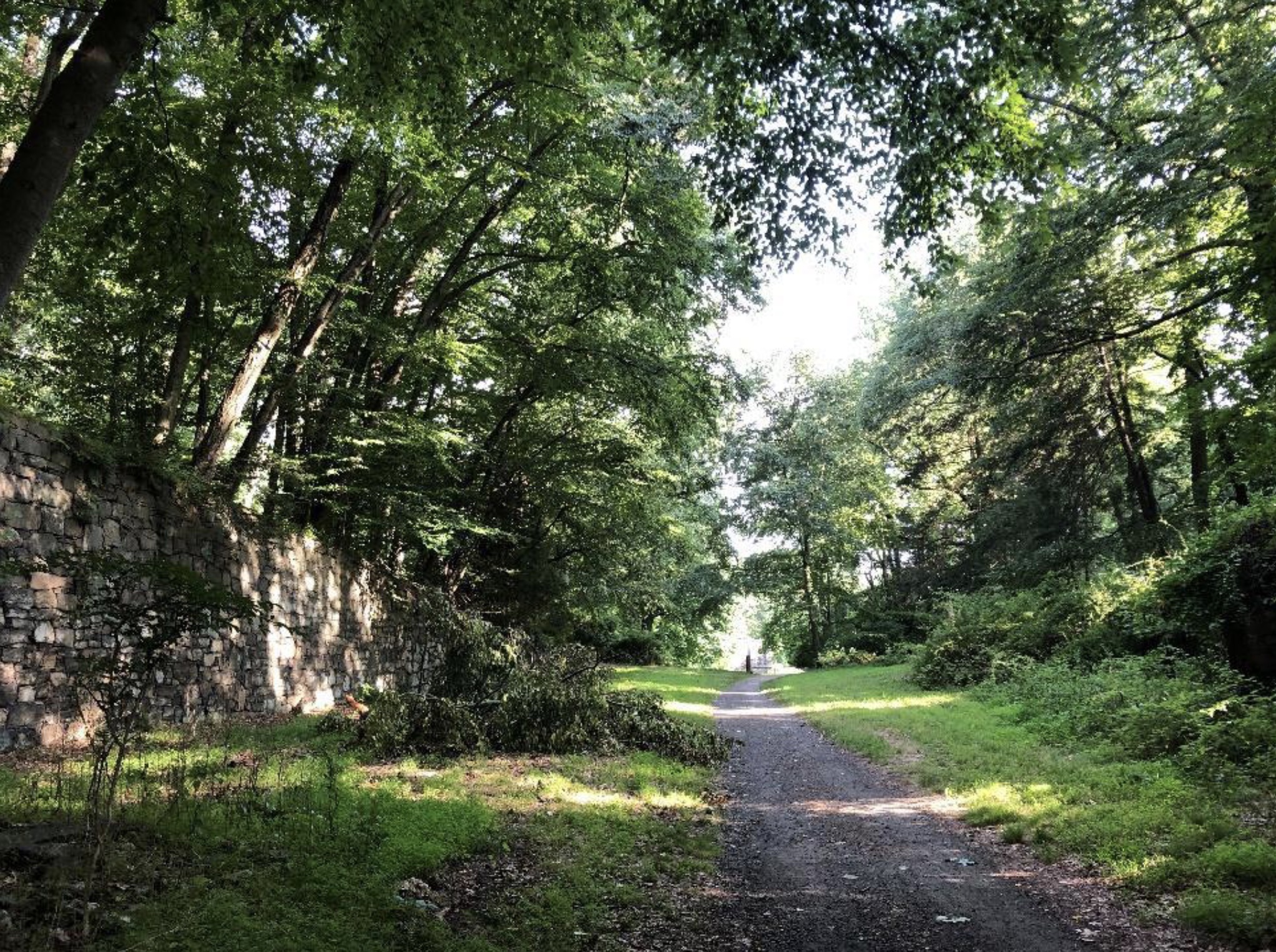 a painting by Daniel Tenier's entitled 'The Alchemist'